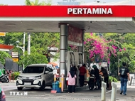 Energy security: Opportunity to shape new cooperation between Indonesia and Vietnam